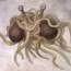 *FSM*'s Avatar